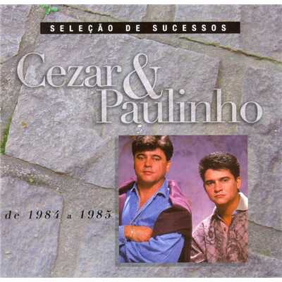 アルバム/Selecao de Sucessos - 1984 ／ 1985/Cezar & Paulinho