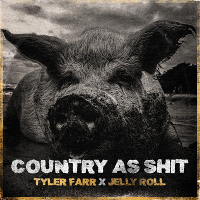 シングル/Country As Shit (feat. Jelly Roll)/Tyler Farr