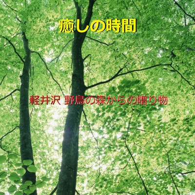 シングル/癒しの時間 〜軽井沢野鳥の森〜 (小鳥のさえずりと小川のせせらぎ)現地収録/リラックスサウンドプロジェクト