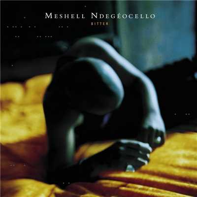 Wasted Time/Meshell Ndegeocello