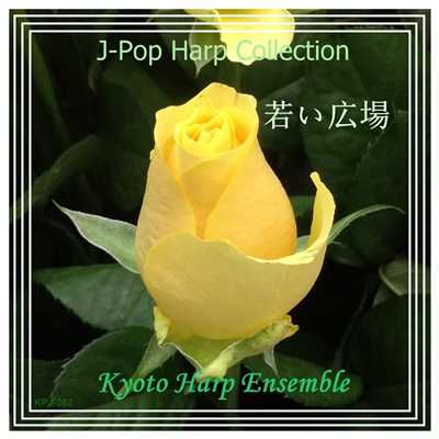 シングル/若い広場(「ひよっこ」より)harp version/Kyoto Harp Ensemble