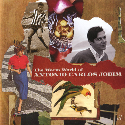 アルバム/The Warm World Of Antonio Carlos Jobim/アントニオ・カルロス・ジョビン