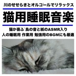 アルバム/川のせせらぎとオルゴールでリラックス 猫用睡眠音楽 猫が喜ぶ 鳥の音と紙のASMR入り 人の睡眠用 作業用 勉強用のBGMにも最適/日本BGM向上委員会