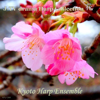 J-TV drama Harp Collection 花/Kyoto Harp Ensemble