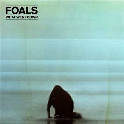 What Went Down/Foals