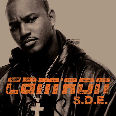 What Means The World To You (Explicit)/Cam'ron