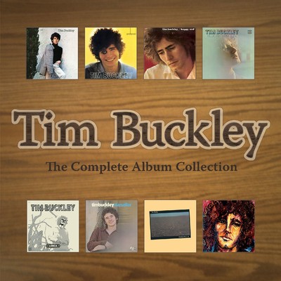 シングル/The Fiddler (Rough Mix)/Tim Buckley