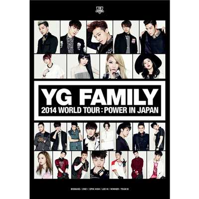 MISSING YOU (from YG FAMILY WORLD TOUR 2014 -POWER- in Japan)/WINNER