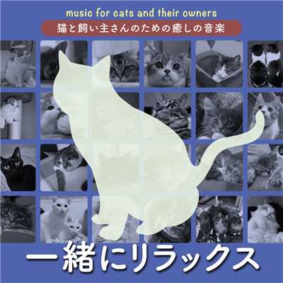 猫と飼い主さんのための癒しの音楽〜一緒にリラックス〜/Various Artists