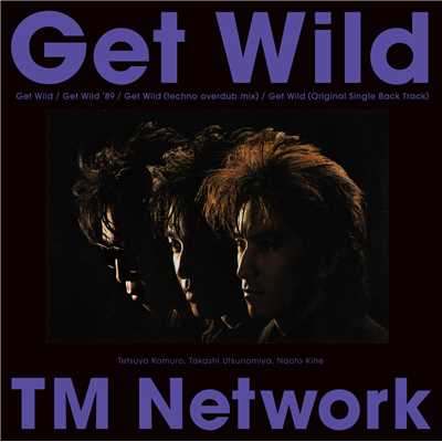 GET WILD (techno overdub mix)/TMN