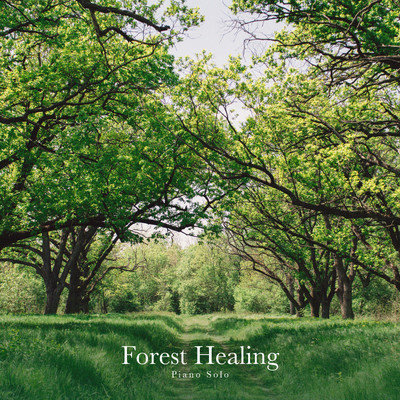 アルバム/Piano Solo: Forest Healing/Classy Moon
