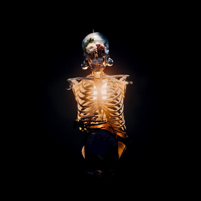 アルバム/Bones/the engy