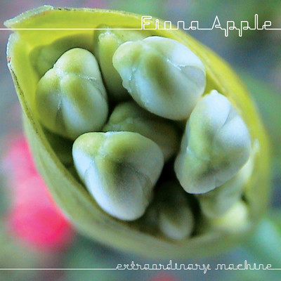 アルバム/Extraordinary Machine/Fiona Apple