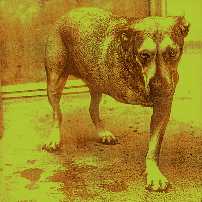 Alice In Chains (Explicit)/Alice In Chains