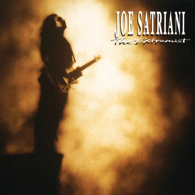シングル/Cryin'/Joe Satriani