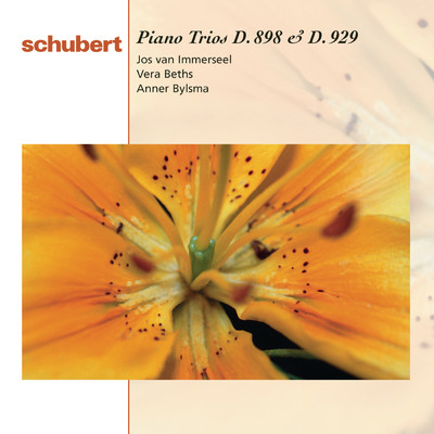 アルバム/Schubert: Piano Trios, D. 898 & D. 929/Anner Bylsma, Jos van Immerseel, Vera Beths