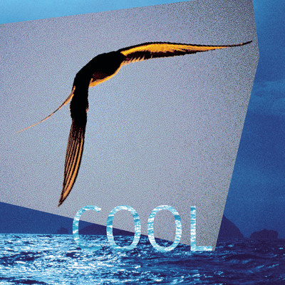 Cool 5 The Sax Album/Various Artists