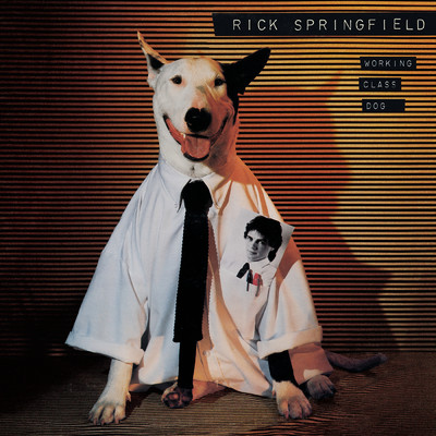 アルバム/Working Class Dog/Rick Springfield