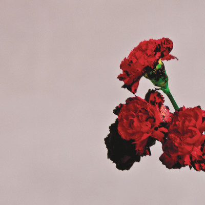 Love In The Future (Expanded Edition)/John Legend