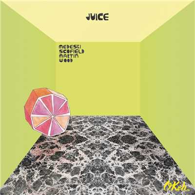 アルバム/Juice/Medeski, Scofield, Martin & Wood