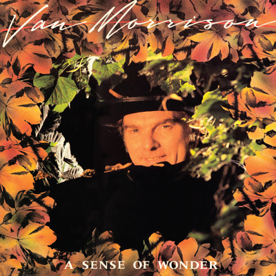 アルバム/A Sense of Wonder/Van Morrison