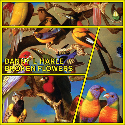 アルバム/Broken Flowers - EP/Danny L Harle