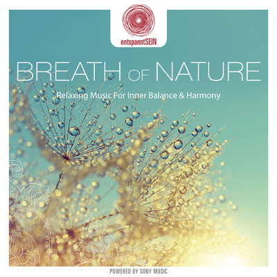 アルバム/entspanntSEIN - Breath of Nature (Relaxing Music for Inner Balance & Harmony)/Davy Jones
