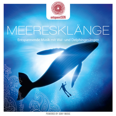アルバム/entspanntSEIN - Meeresklange (Entspannende Musik mit Wal- und Delphingesangen)/Davy Jones