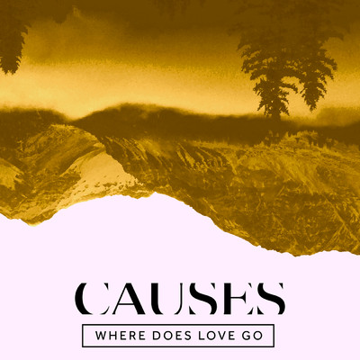 シングル/Where Does Love Go/Causes