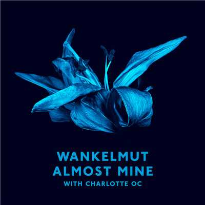 シングル/Almost Mine (Radio Edit)/Wankelmut／Charlotte OC