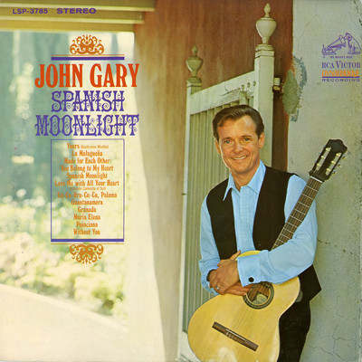 シングル/Without You/John Gary