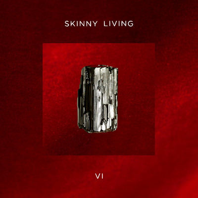 アルバム/6/Skinny Living