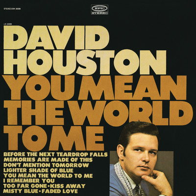 アルバム/You Mean the World to Me/David Houston