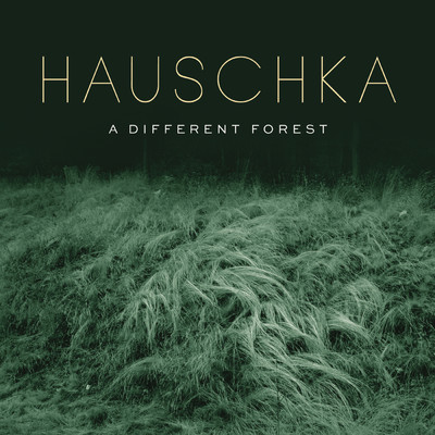アルバム/A Different Forest/Hauschka
