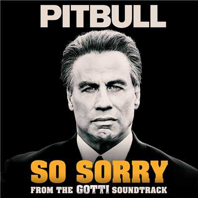 シングル/So Sorry (Explicit)/Pitbull