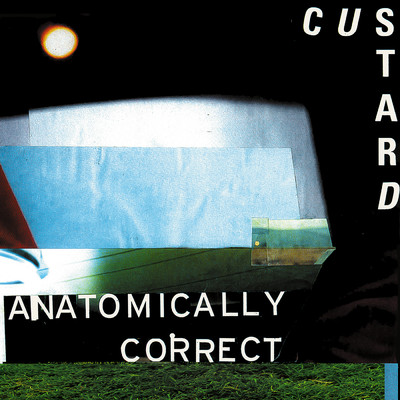 アルバム/Anatomically Correct/Custard