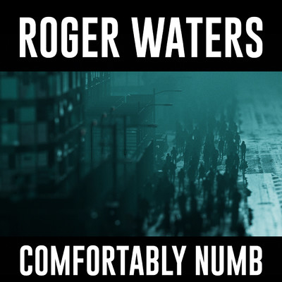 シングル/Comfortably Numb 2022/Roger Waters