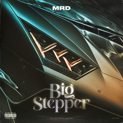 シングル/Big Stepper (Instrumental)/MRD