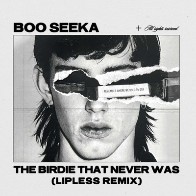 シングル/The Birdie That Never Was (Lipless Remix)/Boo Seeka／Lipless