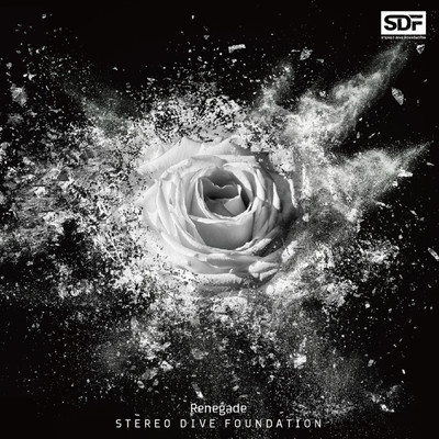 Renegade/STEREO DIVE FOUNDATION