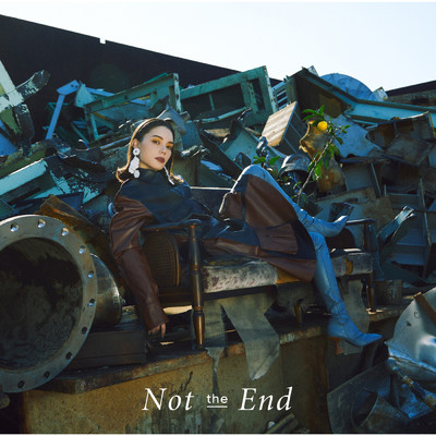 アルバム/Not the End/安田 レイ
