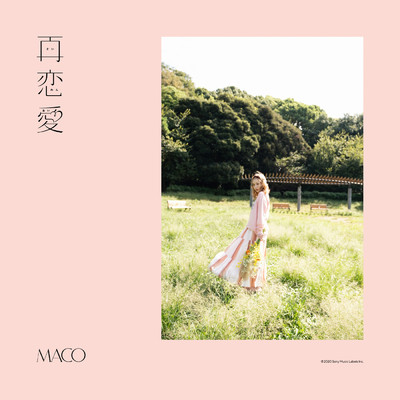 シングル/再恋愛/MACO