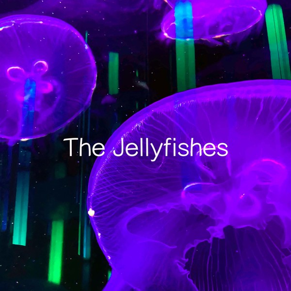 The Jellyfishes