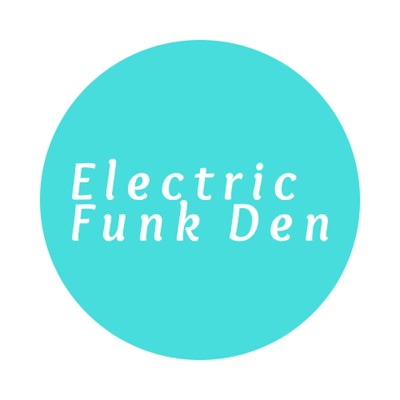 When My Heart Was Stolen/Electric Funk Den
