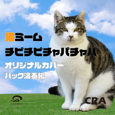 チピチピチャパチャパ (DUBIDUBIDU) 猫ミーム SNS人気楽曲  オリジナルカバー(バック演奏編)/CRA