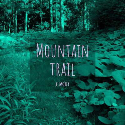 アルバム/Mountain Trail/c.morly