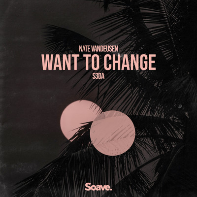 Want to Change/Nate VanDeusen & S3DA