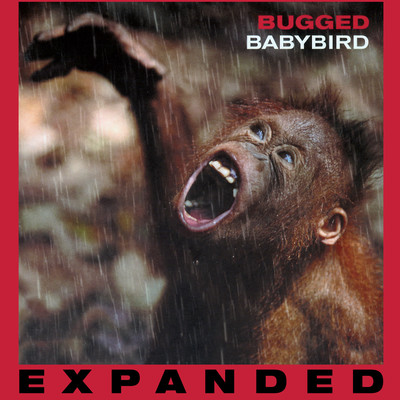 アルバム/Bugged (Expanded)/Babybird