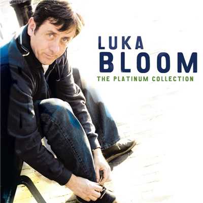 Dreams in America/Luka Bloom