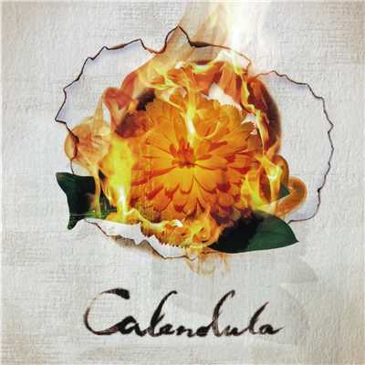 アルバム/Calendula/a crowd of rebellion